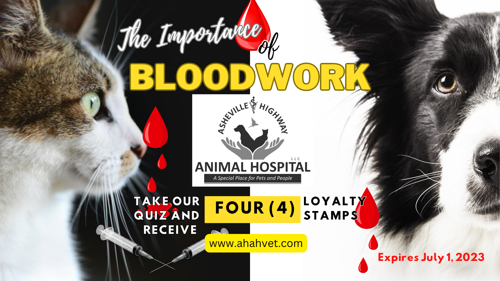 Asheville Highway Animal Hospital, LLC — Importance of Bloodwork Quiz